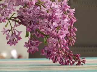 Lilac Branch Falling on a Vintage Wooden Interior Table