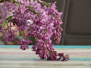 Lilac Branch Falling on a Vintage Wooden Interior Table
