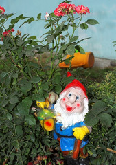 Beautiful, well-kept garden.  Rose bush, watering can and garden gnome figure