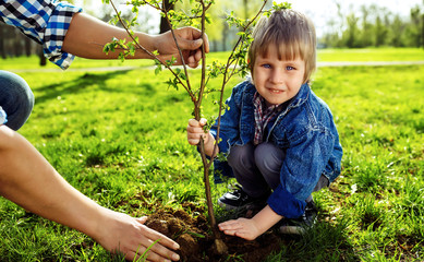 Father with child holding hands. little boy helping his father to plant the tree while working together in the garden. sunday. smiling face. spring time.  volunteer with sprout for growing.