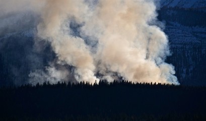 Slash and Burn 1