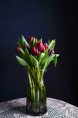 tulips in a vase