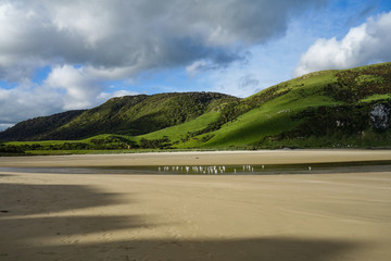 New Zealand South Island Coast