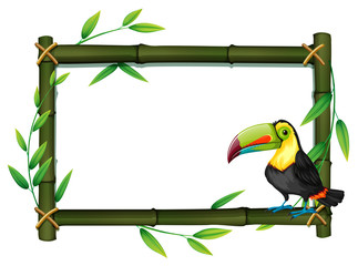 Toucan on bamboo border