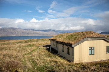 Fototapeta na wymiar moss covered house on Videy Island in Iceland