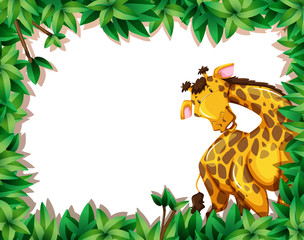 giraffe in nature scene