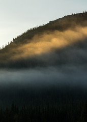 Fototapeta premium glowing mist over a tree covered mountain