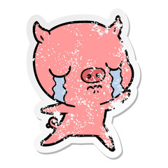 distressed sticker of a cartoon pig crying