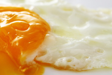 Egg background / chicken egg yolk is a major source of vitamins and minerals. It contains all of the egg's fat and cholesterol, and nearly half of the protein