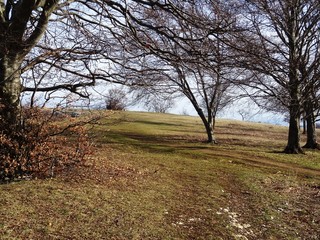 Landschaft, Idylle, Natur auf der Schwaebischen Alb