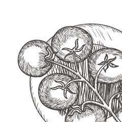 delicious tomato in drawing isolated icon