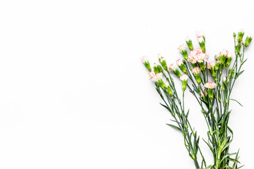 Obraz na płótnie Canvas Delicate spring flowers. Small pink carnation on white background top view copy space