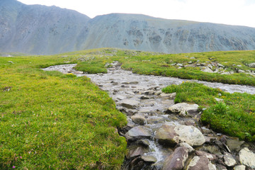 Mountain stream. Valley of 7 lakes. Altai Mountains, Russia