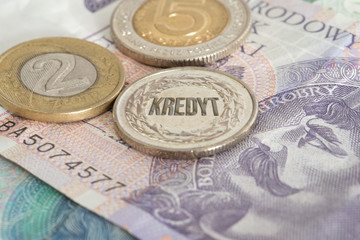 Geldscheine und Münzen Polnische Zloty PLN und Kredit in Polen