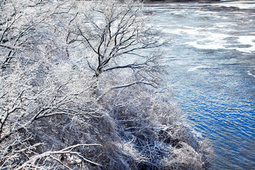 Fototapeta na wymiar Snow day with trees covered next to lake in Minnesota USA