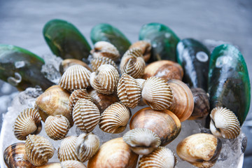 Shellfish on ice background / Fresh raw blood cockle green mussels and enamel venus shell