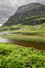 Loch Achtriochtan on the River Coe in green Glen Coe valley with Aonach Dubh of the Three Sisters mountains in cloud Scottish Highlands Scotland UK