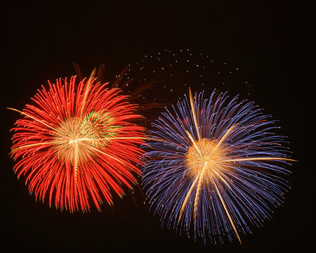 368 Best 花火素材 Images Stock Photos Vectors Adobe Stock