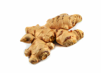 Fresh ginger root from the ginger farm isolated on white background