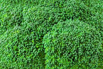 Broccoli textured  background . Fresh Broccoli vegetable
