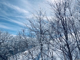 Beautiful winter landscape