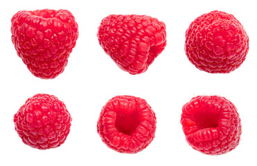 Raspberry isolated on white background. Red Berry Collection. Macro.