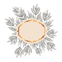 frame with plants and herbs isolated icon