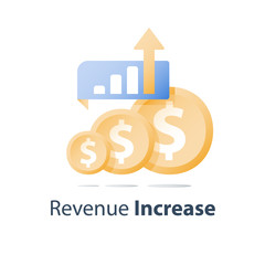Revenue increase, investment portfolio growth, financial performance report, income improvement strategy, interest rate