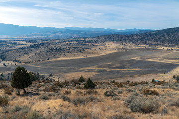 Aerial view of farm fields in late autumn in California, USA