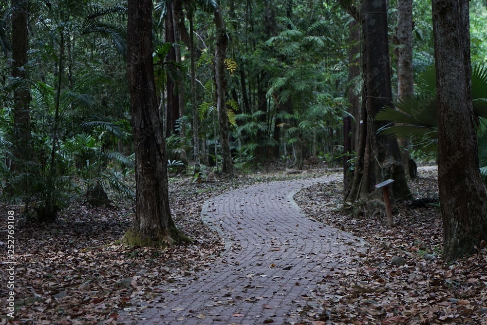 Sticker path in the forest