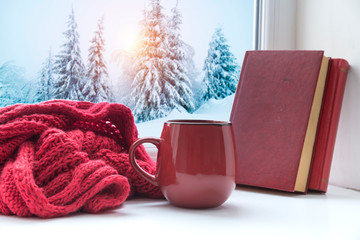 Winter background - cup with candy cane, woolen scarf and gloves on windowsill and winter scene outdoors. Still life with concept of spending winter time at cozy home with cold weather outdoors