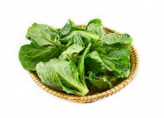 Fresh green leaves cabbage in the basket isolated on white background / Organic vegetable