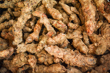 Fresh turmeric root background from nature garden for herbal medicines