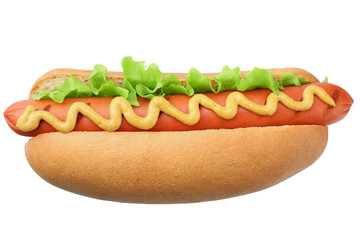 Hot dog grill with lettuce and mustard isolated on white background. fast food.