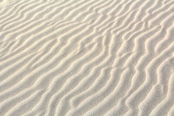Fototapeta na wymiar Rippled Beach Sand