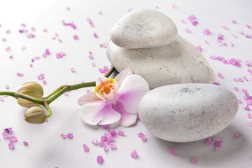 Fototapeta na wymiar Composition with orchid flower and spa stones on light background
