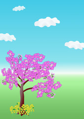 Obraz premium 花のある風景・春・桜と菜の花