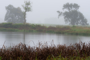 A misty and rainy morning overlooking a birdwatching pond.