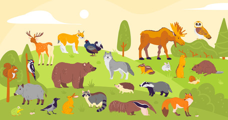  Vector collection of forest animals and birds: bear, fox, hare, owl isolated on woodland landscape background. Flat hand drawn style. Good for children book illustration, alphabet, banner, zoo etc.