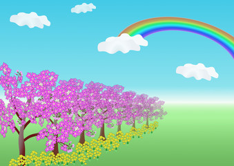 花のある風景・春・桜と菜の花と虹