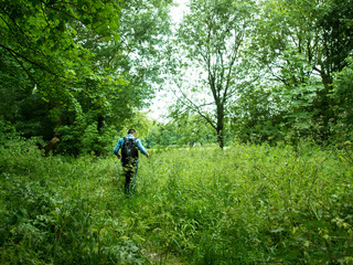 Fototapeta premium Lost in the Green