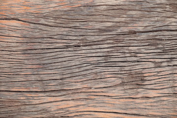 Texture of bark background,tree texture,wood background