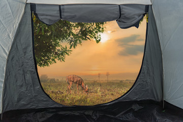 View from inside a tent on mountains landscape. Camping concept. Sunset inside a tent.