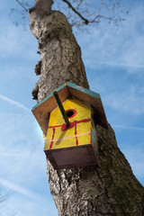 yellow birdhouse against tree trunk with blue sky