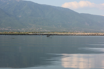 Obraz premium Lake of Kerkini Serres Greece Europe