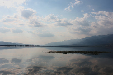 Lake of Kerkini Serres Greece Europe