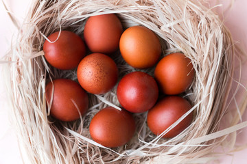 lots, eggs, Easter, brown, Easter eggs, nest, beige background,