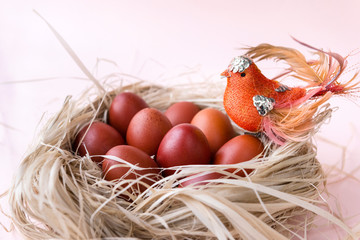 lots, eggs, Easter, brown, Easter eggs, nest, bird,