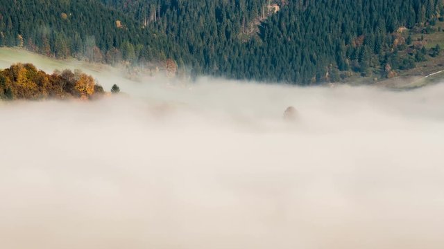 Waves of mist clouds moving fast in autumn forest landscape Time lapse