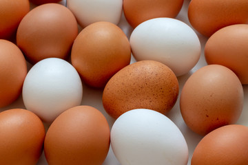 White and brown chicken eggs